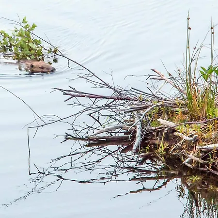 Semesterbostad 7 Person In