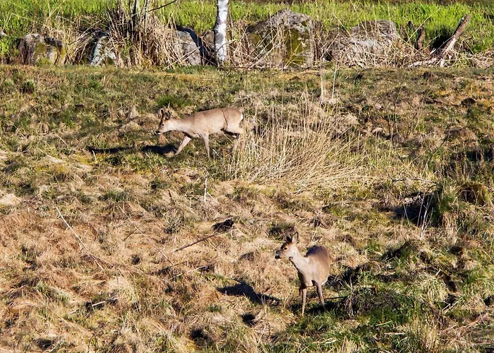 Semesterbostad 7 Person In *