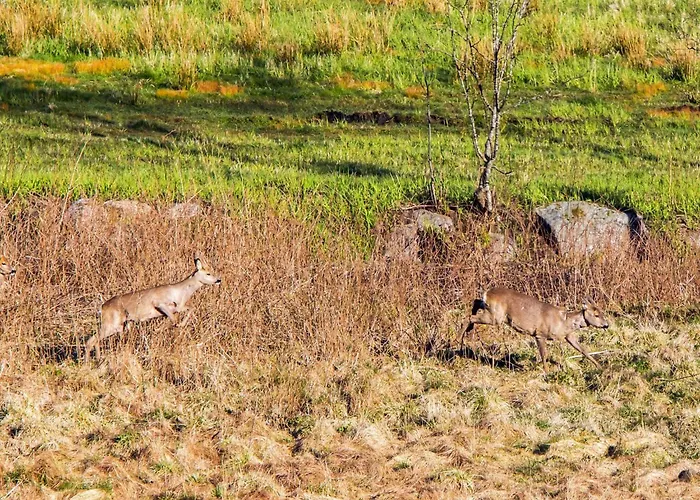 7 Person In Semesterbostad Lyngdal
