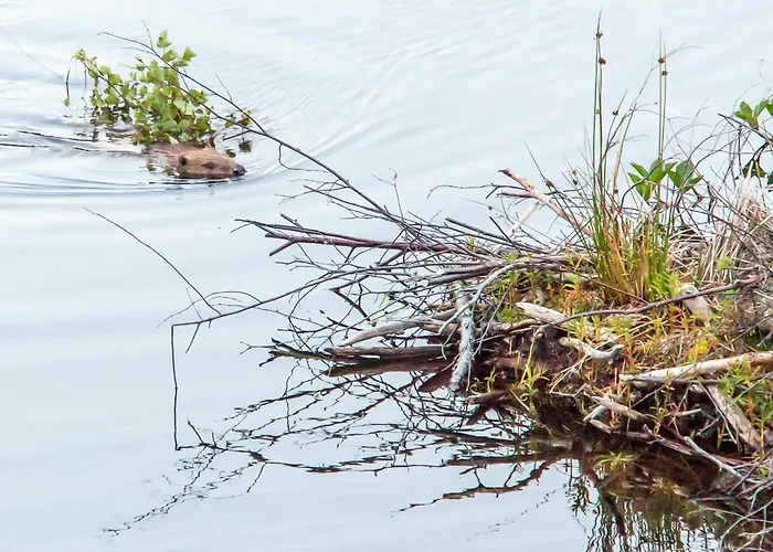 Semesterbostad 7 Person In