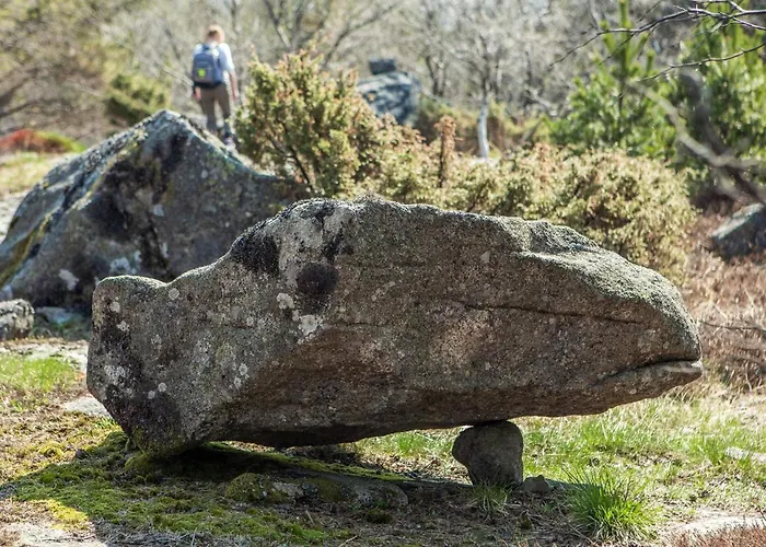 Semesterbostad 7 Person In *